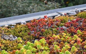the cost of Kirtlebridge green roof installation