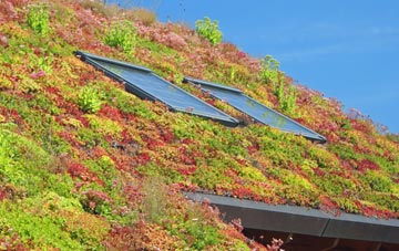 Kirtlebridge living roof systems